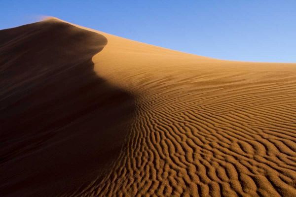 Namibia, Namib-Naukluft NP Blowing sand on dune